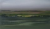 Evening fields