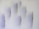 seven of three