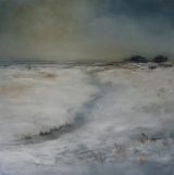 Snow Fields