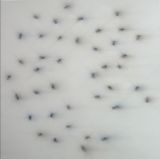 Swarm