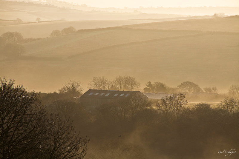 Misty morning