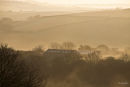 Misty morning