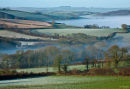 Frosty, misty morning near Lanreath