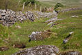 Dry stone wall, Leskernick