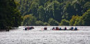 Kayaks on the River Fowey