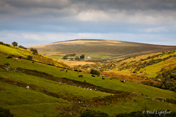 Looking up the valley from Codda
