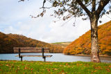Autumn, West Looe