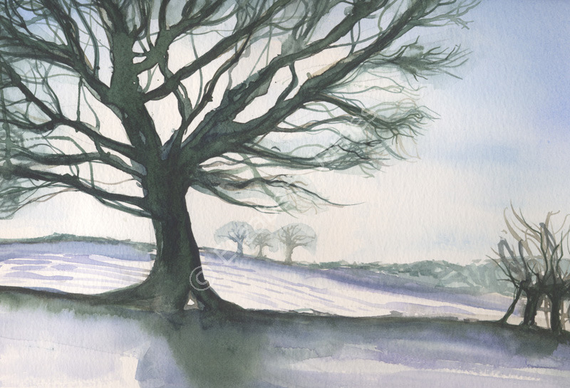 Winter Fields