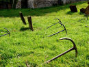 Anchor Field