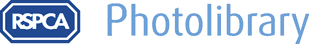 Article text