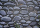 Pebbles and weeds