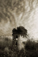 The Tower