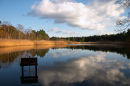The Black Pond