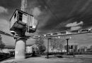 The Crane