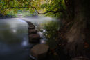 Stepping Stones