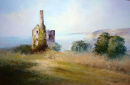 Wheal Friendly Mine, St.Agnes