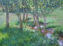 Les Iris pres du Ruisseau