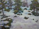 Balmoral Forest