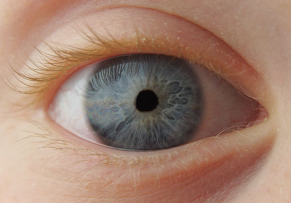Look Into My Eye