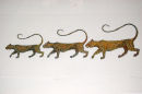 Leopards