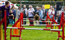 Dog Show