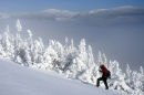 Fresh snow in Parc de la Gaspesie