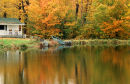 Maples and lake