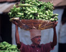 Indian man carrying bananas