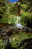 Mountain stream on Beinn Alligin