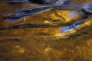Autumn colours in a woodland stream