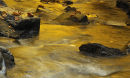 Autumn colours reflected in a woodland stream