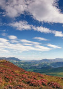The view from Grisedale Pike