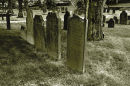 A line of gravestones at The Old Cemetery in Halifax