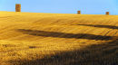 Haystacks