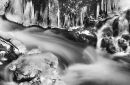 Ice forming by a stream
