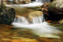 A small waterfall in a woodland stream