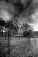 Military Graves