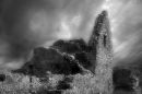 A ruined house