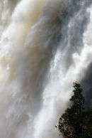 Chute Montmorency with tree