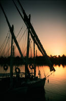 Feluccas on the Nile, Egypt