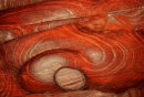 Rock Detail