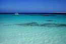 The Red Sea