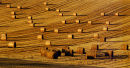 Rolls of hay