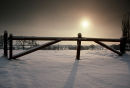 Winter sunrise