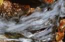 Mountain stream