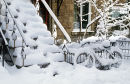 A Montreal street after fresh snow