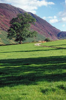 Dalehead from the foot of Hindsgarth