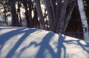 Shadows on snow