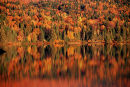 Autumn colours in Mont Tremblant National Park