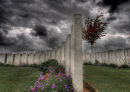 War Graves